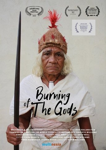 Poster för Burning of the Gods