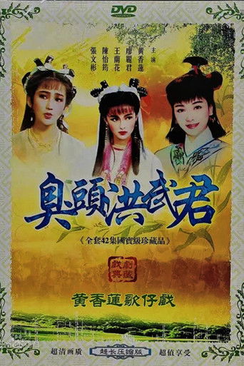 臭頭洪武君 poster