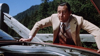 The Most Wonderful Evening of My Life (1972)