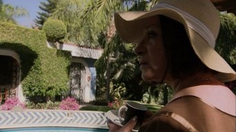 Los simuladores S01E04