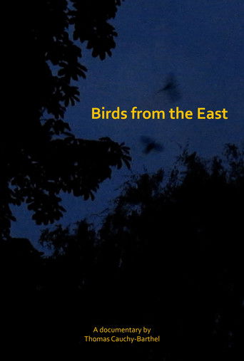 Les oiseaux de l'Est (2025)