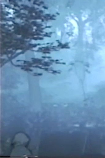 Summer Vacation poster