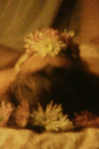 Dreaming (2015)