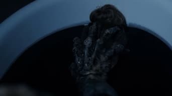 Galeria 1 - Se ocultan en la oscuridad