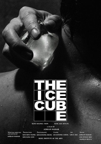 The Ice Cube (2024)