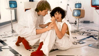 The Model Couple (1977)
