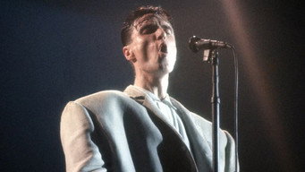 Stop Making Sense backdrop 2