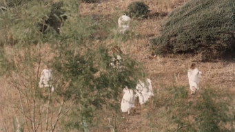 #35 Nostos: The Return