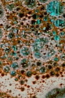 The Galilean Satellites- Callisto poster