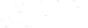 Burning Body logo