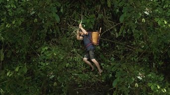 Primal Survivor: Mighty Mekong - S1E01