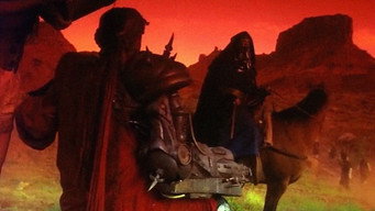 #11 Лицарі
