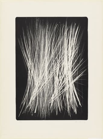 Poster för Visite à Hans Hartung