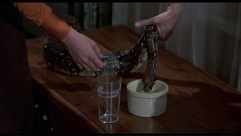 #8 Sssssss