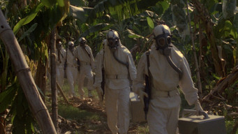 #12 Contamination