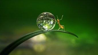 Micromundos - S1E01