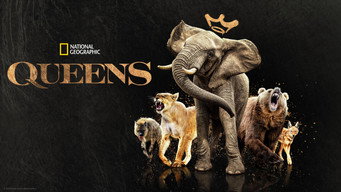#8 Queens