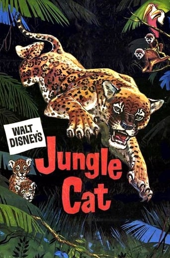 Poster för Jungle Cat