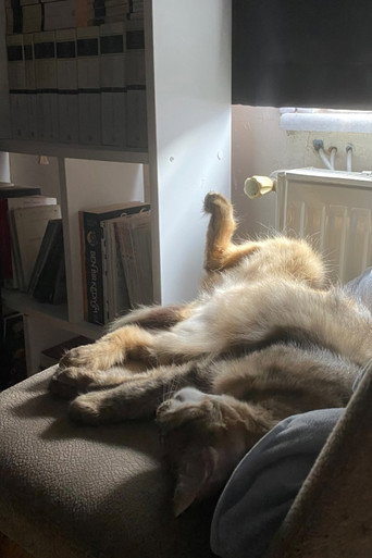 another winter season (1970)