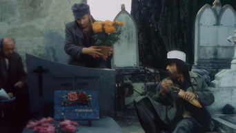 Episode 12 — Episode 12