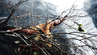 Raavan media image