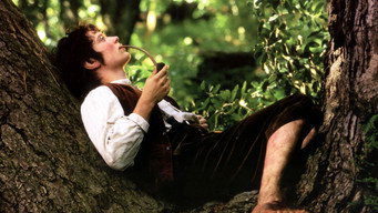 Still 12 from The Lord of the Rings: The Fellowship of the Ring