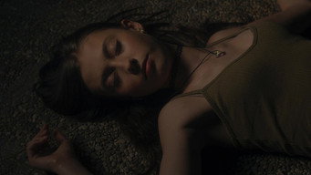 #9 The Perseids