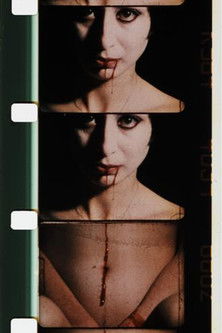 Double Labyrinthe (1976)