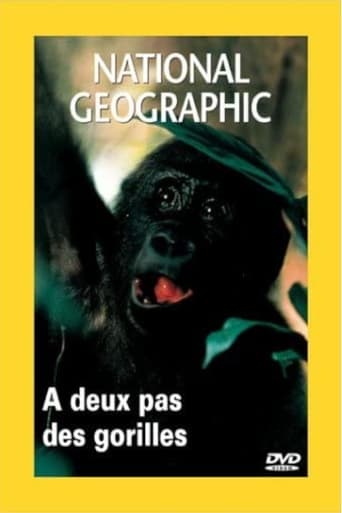 National Geographic : A Deux pas des gorilles en streaming 