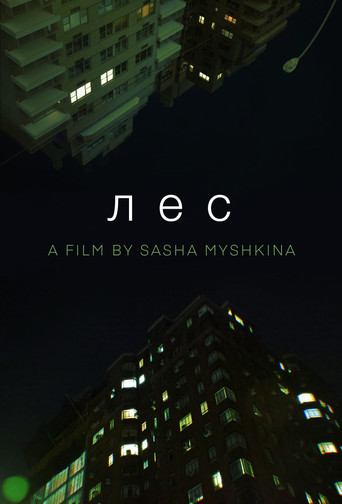 Forest (2024)