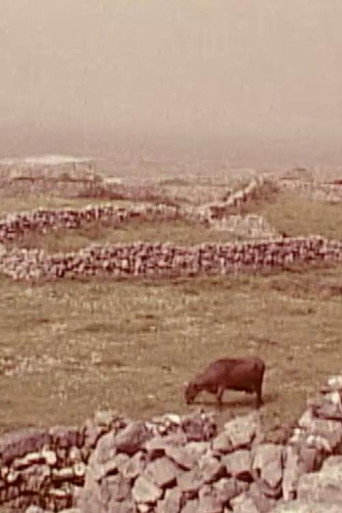 Harry Mantel&rsquo;s Vignettes: Irish Fishermen (1970)