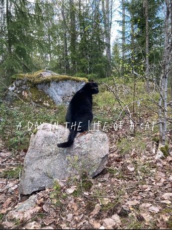 A Day in the Life of a Cat (2025)