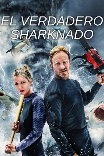 The Real Sharknado The Real Sharknado