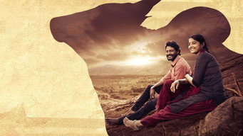 #9 Pettaikaali