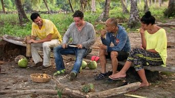 Survivor S32E2 poster