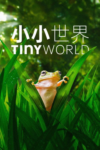 Tiny World