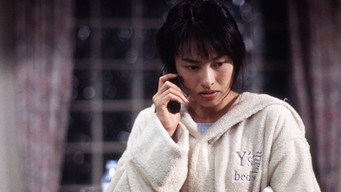 Door III (1996)