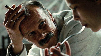 Щоденники з Полла (2010)