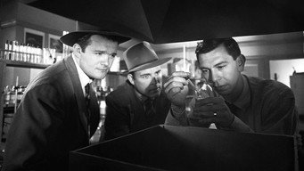 He Walked by Night (1948)