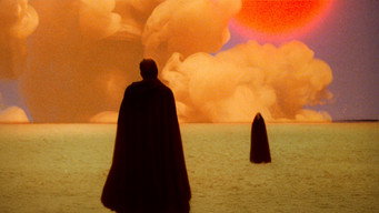 #8 The Visitor