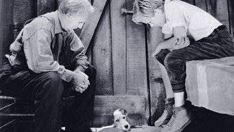 Peck's Bad Boy (1934)