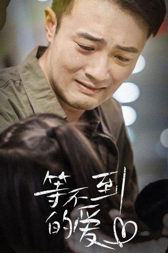 等不到的爱 poster