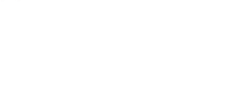 Perfect Match logo