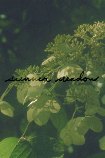 Summer Meadow (2024)