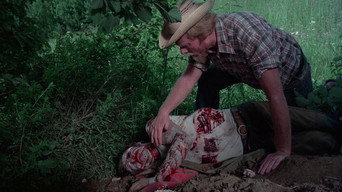 The Giant Spider Invasion (1975)