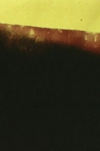 The Distance Between Here and There