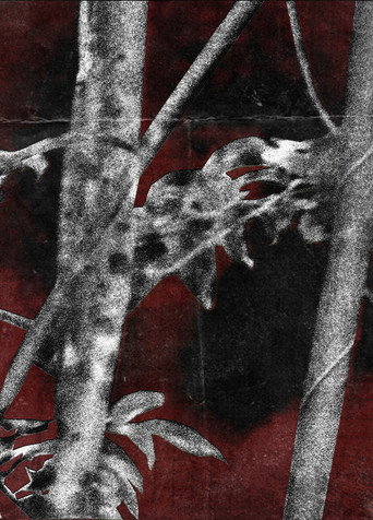 Ru&iacute;dos Do Cerne (2025)