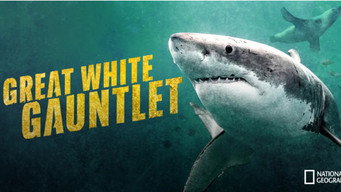 Great White Gauntlet (2026)