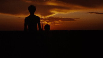 #52 Walkabout