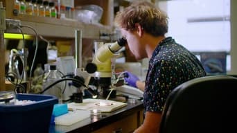 Galeria 2 - La naturaleza humana